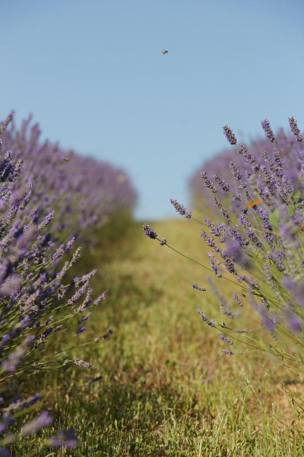 Grandono Agriturismo In Maremma Скансано Экстерьер фото